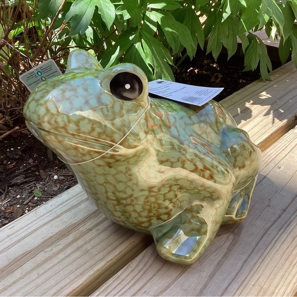 Smart Pond Accents Nwt Frog Spitter Poshmark